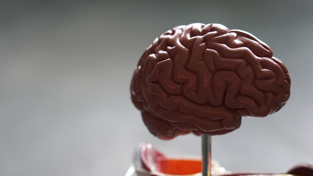 Memory Hacking for Students: 3 Visual Tools That Actually Work
