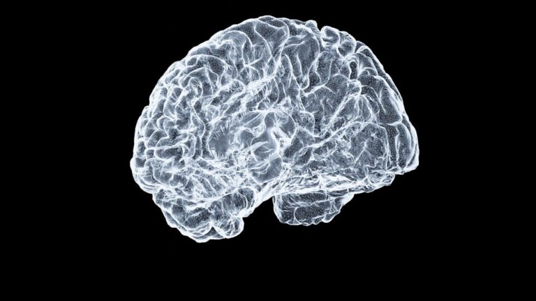 60 Seconds to Smarter Learning: A Quick Guide to Avoiding Language Mistakes