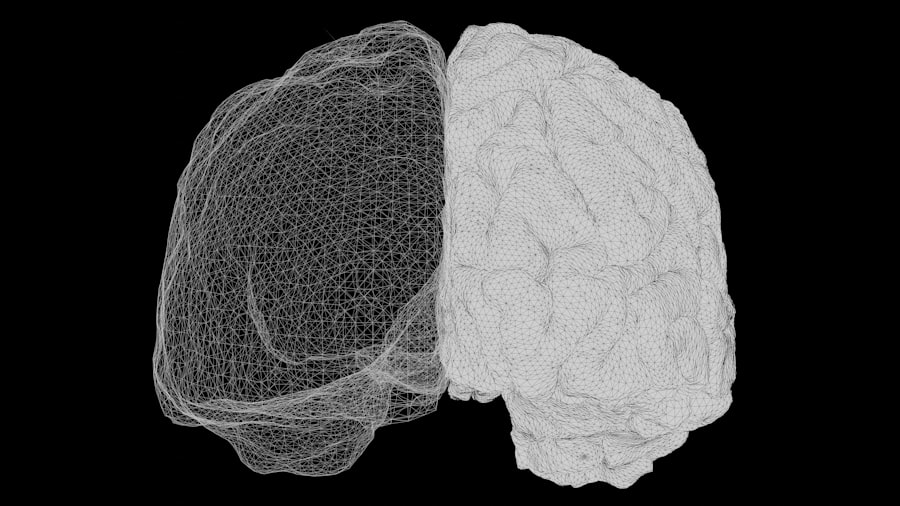 brain