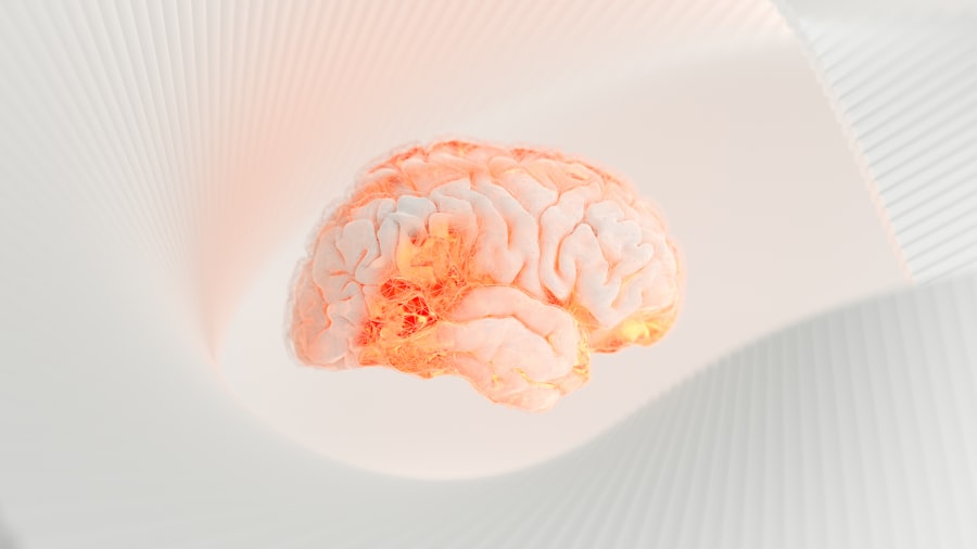 Photo brain