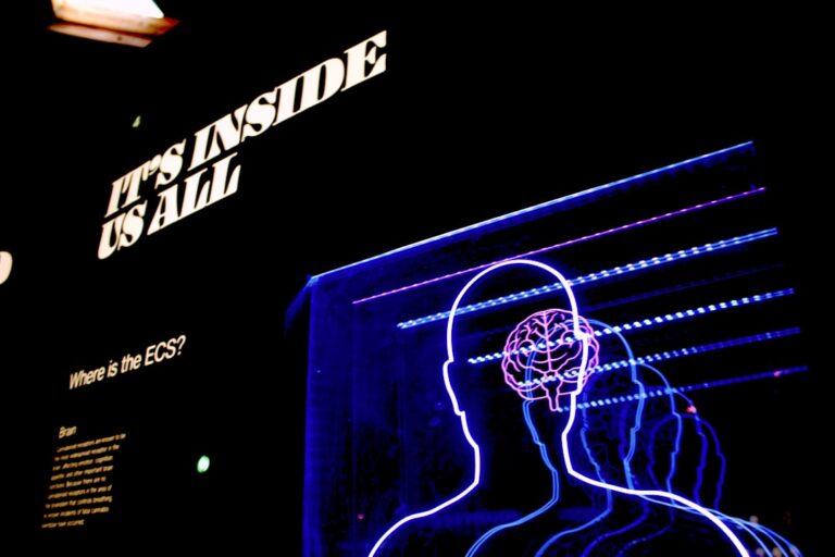 Unleashing the Power of the Brain Unleashing the Power of the Brain