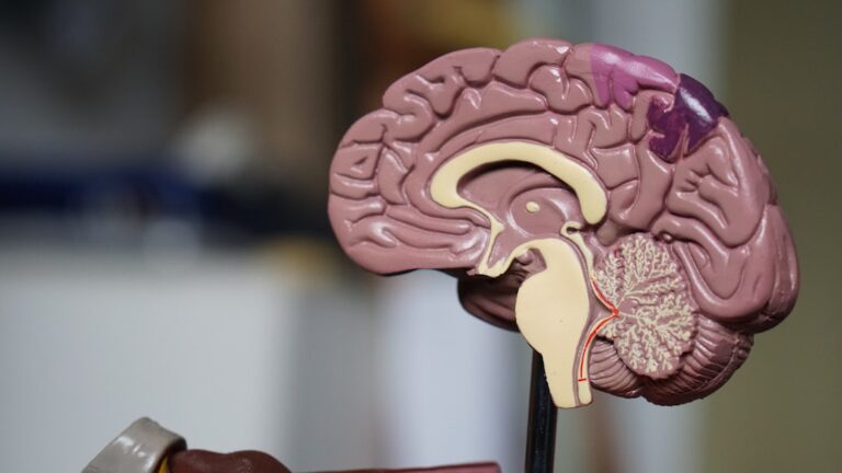 Unlocking the Power of Your Brain