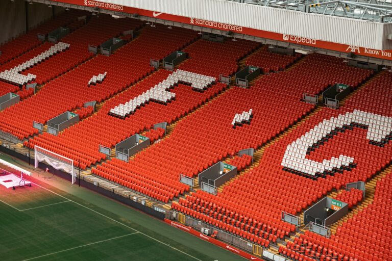 Why Stadium Chants Affect the Brain